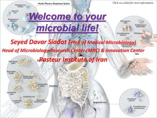 1
Microbiota in Health &
Diseases
Welcome to your
microbial life!
Seyed Davar Siadat (Prof. of Medical Microbiology)
Head of Microbiology Research Center (MRC) & Innovation Center
Pasteur Institute of Iran
 