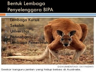 Bentuk Lembaga  Penyelenggara BIPA Lembaga Kursus Sekolah Universitas Perusahaan Lembaga Pemerintah 