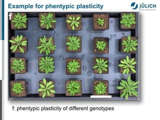Example for phentypic plasticity 
f: phentypic plasticity of different genotypes 
 