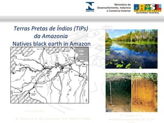 Terras Pretas de Índios (TIPs) 
da Amazonia 
Natives black earth in Amazon 
B. Glaser et al. 
Naturwissenschaften 88, 31-41 
(2001) 
Patches 500 x 500 m2 
B. Glaser et al. Org Geochem. (31), 669-678 (2000) 
 