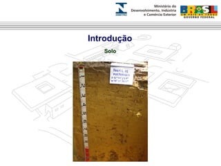 Introdução 
Solo 
 