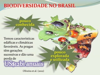 BIODIVERSIDADE NO BRASIL 
pouco 
conhecida 
pouco 
explorada 
e utilizada 
Temos características 
edáficas e climáticas 
favoráveis. As pragas 
têm gerações 
sucessivas e dão uma 
perda de 
Oliveira et al. (2012) 
 