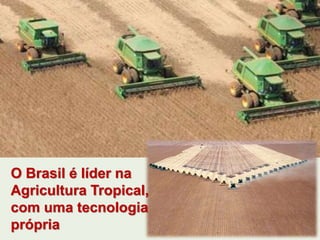 O Brasil é líder na 
Agricultura Tropical, 
com uma tecnologia 
própria 
 