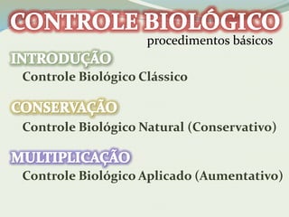 procedimentos básicos 
Controle Biológico Clássico 
Controle Biológico Natural (Conservativo) 
Controle Biológico Aplicado (Aumentativo) 
 