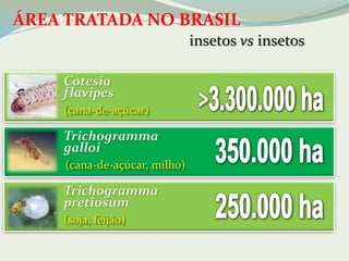 ÁREA TRATADA NO BRASIL 
Cotesia 
flavipes 
(cana-de-açúcar) 
Trichogramma 
galloi 
(cana-de-açúcar, milho) 
insetos vs insetos 
Trichogramma 
pretiosum 
(soja, feijão) 
 