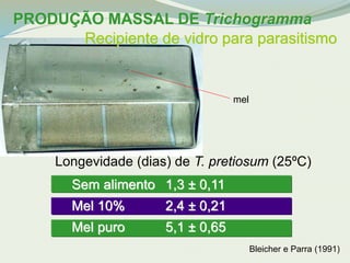 PRODUÇÃO MASSAL DE Trichogramma 
Recipiente de vidro para parasitismo 
Longevidade (dias) de T. pretiosum (25ºC) 
Bleicher e Parra (1991) 
Sem alimento 
Mel 10% 
Mel puro 
1,3 ± 0,11 
2,4 ± 0,21 
5,1 ± 0,65 
mel 
 