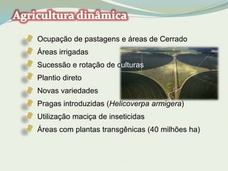 Ocupação de pastagens e áreas de Cerrado 
Áreas irrigadas 
Sucessão e rotação de culturas 
Plantio direto 
Novas variedades 
Pragas introduzidas (Helicoverpa armigera) 
Utilização maciça de inseticidas 
Áreas com plantas transgênicas (40 milhões ha) 
 