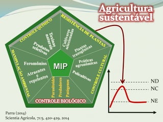 MIP Feromônios 
Parasitoides 
Predadores 
Patógenos 
Parra (2014) 
Scientia Agrícola, 71:5, 420-429, 2014 
ND 
NC 
NE 
 