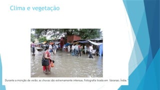 Clima e vegetação
 