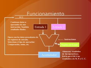 BUS

   Contienen datos u
   operandos de una
   instrucción. También       Entrada 1     Entrada 2
   resultados finales.


Opera con los datos procedentes de
los registros de entrada.                               Instrucciones
Selecciona el tipo de operación:
Comparación, suma, etc.                           Registro de Estado


                                                   Almacena resultados
                                                   de las operaciones.
                                     Acumulador    Envía por el BUS los
                                                   resultados a la M. P. o U. C.
 