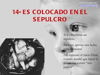 14- ES COLOCADO EN EL SEPULCRO A ti ofrecieron un  sepulcro. Para mí, apenas una bolsa para la basura! Allí esperare el juicio Final, cuando tendré que hacer la acusación contra “mis padres”. 