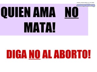 QUIEN AMA  NO  MATA! DIGA  NO  AL ABORTO! 