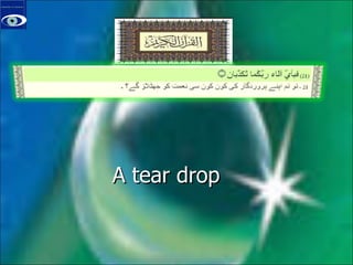A tear drop 