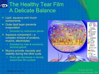 The Healthy Tear Film A Delicate Balance Lipid, aqueous and mucin components Outer lipid layer prevents evaporation Secreted by meibomian glands Aqueous component – a complex mixture of proteins, mucins, electrolytes Secreted by main & accessory lacrimal glands Mucins provide viscosity and stability during the blink cycle Mucin gel decreases in density toward tear film surface Making Dry Eyes Wet Image from  Dry Eye and Ocular Surface Disorders ,  2004 