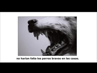 no harían falta los perros bravos en las casas. 