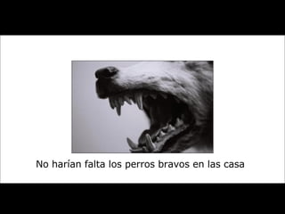 No harían falta los perros bravos en las casa 