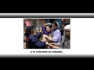 y la voluntad es rebelde, 
 