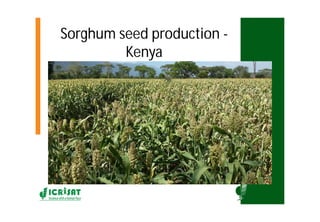 Asia Regional Program- Planning Meeting Moses Siambi ESA overview  