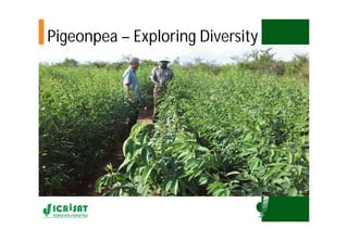 Asia Regional Program- Planning Meeting Moses Siambi ESA overview  