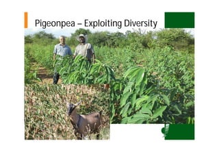 Asia Regional Program- Planning Meeting Moses Siambi ESA overview  