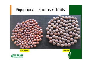 Asia Regional Program- Planning Meeting Moses Siambi ESA overview  