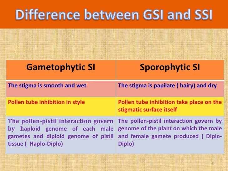 self and male sterility