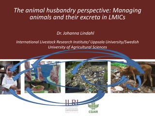The animal husbandry perspective: Managing
animals and their excreta in LMICs
Dr. Johanna Lindahl
International Livestock Research Institute/ Uppsala University/Swedish
University of Agricultural Sciences
 