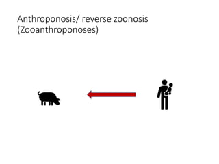 Anthroponosis/ reverse zoonosis
(Zooanthroponoses)
 