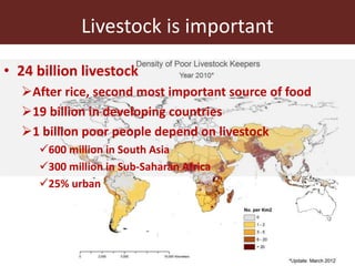 Livestock is important
• 24 billion livestock
After rice, second most important source of food
19 billion in developing ...