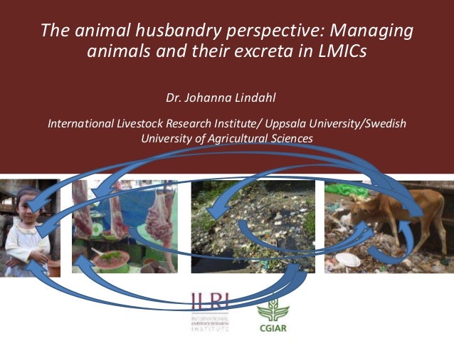 The Animal Husbandry Perspective Managing Animals And Their Excreta