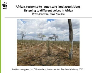 Africa’s response to large-scale land acquisitions
Listening to different voices in Africa
Peter Roberntz, WWF Sweden
SIANI expert group on Chinese land investments - Seminar 9th May, 2012
 
