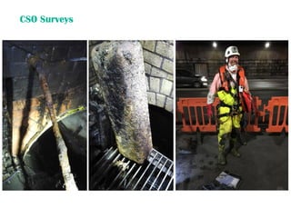 CSO Surveys
 
