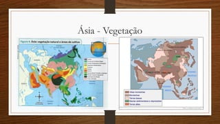 Ásia - Vegetação
 