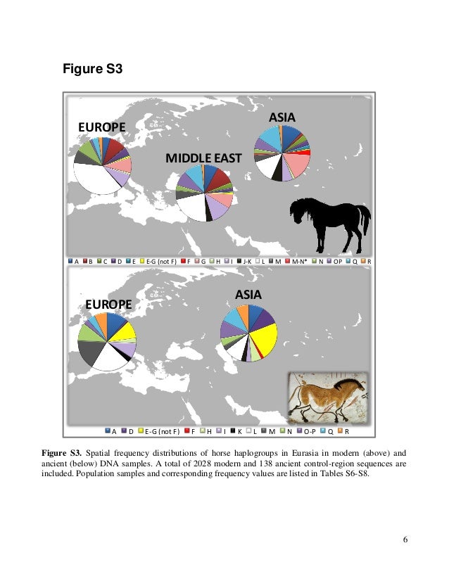 Results of DNA Horses before Columbus research by Alessand…