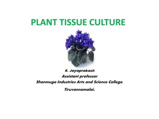 PLANT TISSUE CULTURE
K. Jayaprakash
Assistant professor
Shanmuga Industries Arts and Science College,
Tiruvannamalai.
 