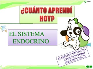 Siatema endocrino
