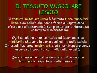 IL TESSUTO MUSCOLARE
               LISCIO
  Il tessuto muscolare liscio è formato fibre muscolari
    lisce, cioè cellule che hanno forma allungata,sono
 affusolate alle estremità, non presentano striature se
                   osservate al microscopio.

    Ogni cellula ha un unico nucleo ed è composta da
  miofibrille che sono la parte contrattile della cellula.
I muscoli lisci sono involontari, cioè si contraggono senza
      essere sottoposti al controllo della volontà.

    Questi muscoli si contraggono e si rilasciano più
        lentamente rispetto agli altri muscoli.
 