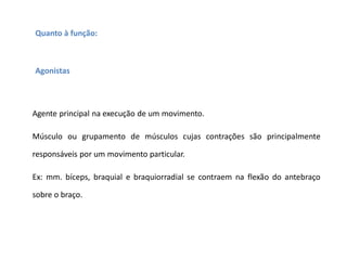 Quanto à função:
Agonistas
Agente principal na execução de um movimento.
Músculo ou grupamento de músculos cujas contrações são principalmente
responsáveis por um movimento particular.
Ex: mm. bíceps, braquial e braquiorradial se contraem na flexão do antebraço
sobre o braço.
 