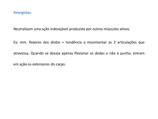 Sinergistas
Neutralizam uma ação indesejável produzida por outros músculos ativos.
Ex: mm. flexores dos dedos = tendência a movimentar as 2 articulações que
atravessa. Quando se deseja apenas flexionar os dedos e não o punho, entram
em ação os extensores do carpo.
 
