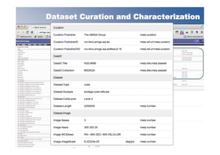 Dataset Curation and Characterization
 
