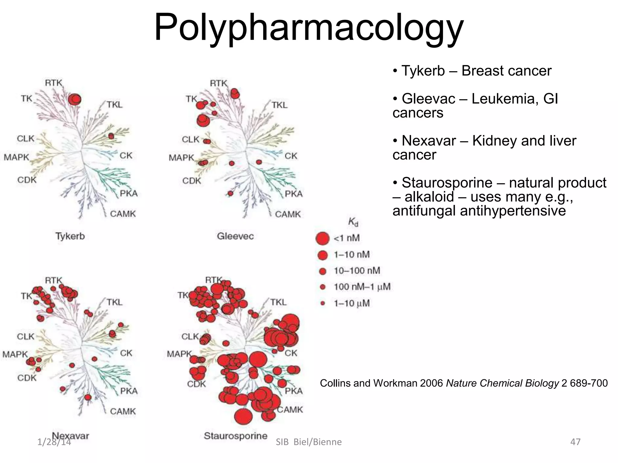 Polypharmacology
• Tykerb – Breast cancer
• Gleevac – Leukemia, GI
cancers
• Nexavar – Kidney and liver
cancer
• Staurosporine – natural product
– alkaloid – uses many e.g.,
antifungal antihypertensive

Collins and Workman 2006 Nature Chemical Biology 2 689-700

1/28/14

SIB Biel/Bienne

47

 