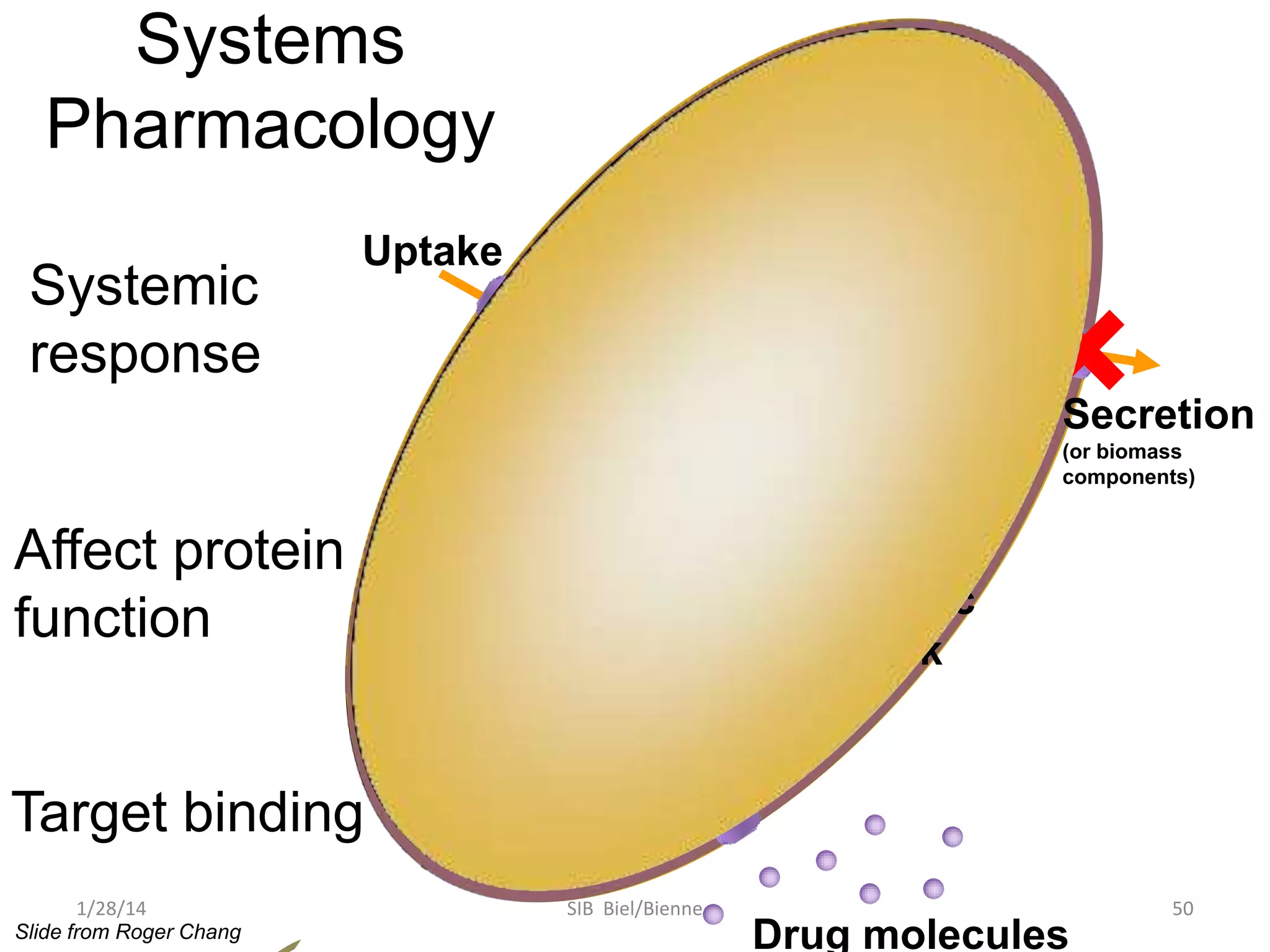 Systems
Pharmacology
Systemic
response

Uptake

Enzyme
inhibition

×

×× ×
×
×

Catalytic
site

Affect protein
function

×

Secretion
(or biomass
components)

Metabolic
network

Target binding
1/28/14
Slide from Roger Chang

SIB Biel/Bienne

Drug molecules

50

 