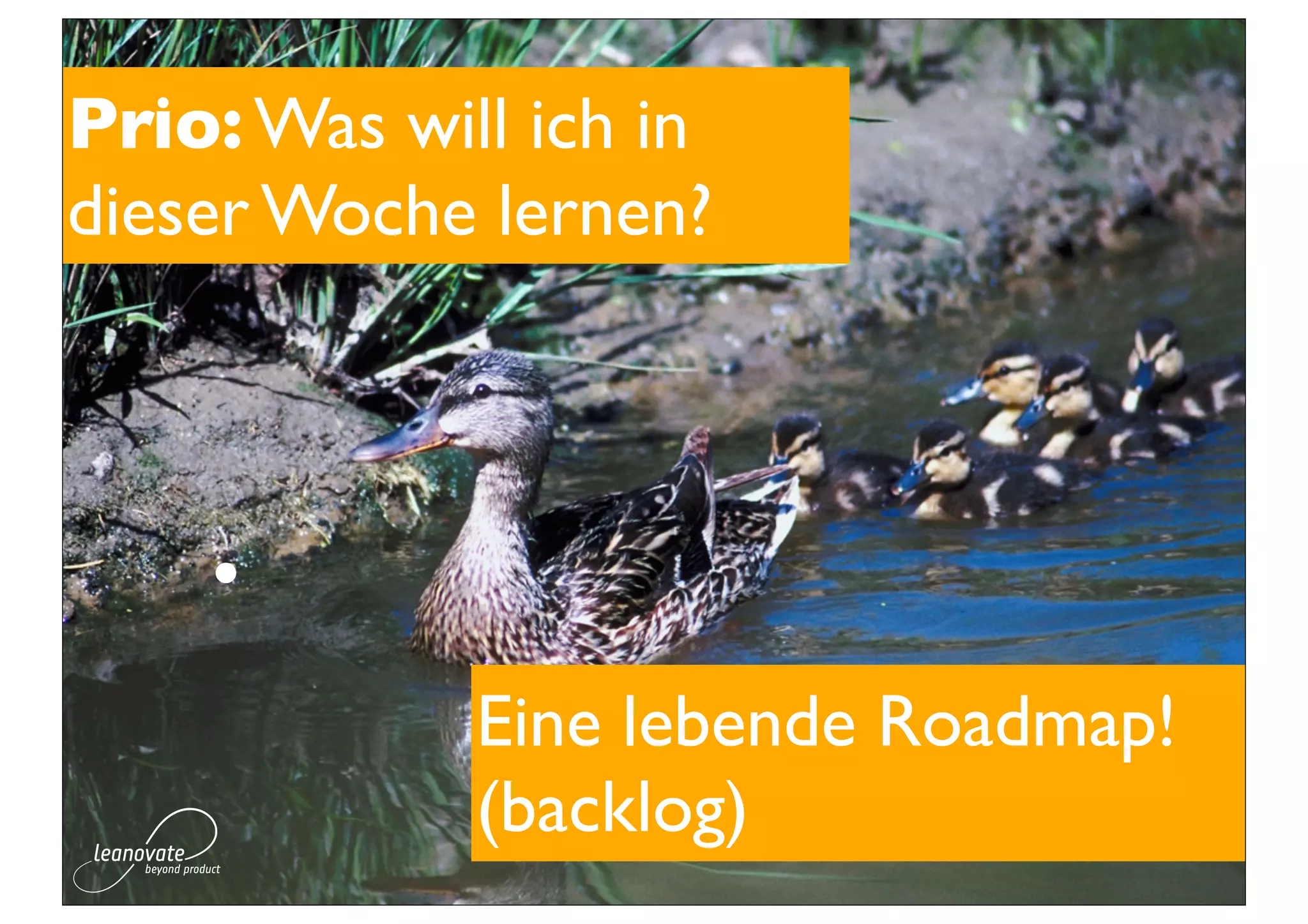 Prio: Was will ich in
dieser Woche lernen?



    •
             Eine lebende Roadmap!
             (backlog)
 