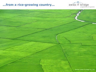 ...from a rice-growing country... Source: swiss IT bridge Co., Ltd. 