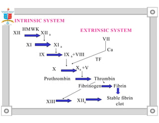 INTRINSIC SYSTEM 
HMWK 
XII XII a 
XI XI a 
EXTRINSIC SYSTEM 
IX IX a+VIII 
X Xa +V 
VII 
Ca 
TF 
Prothrombin Thrombin 
Fibrinogen Fibrin 
XIII XIIa 
Stable fibrin 
clot 
 