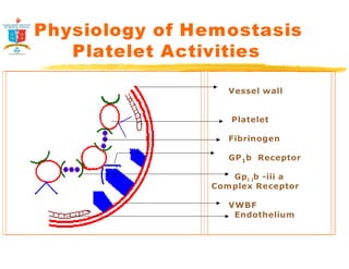 Physiology of Hemostasis 
Platelet Activities 
Vessel wall 
Platelet 
Fibrinogen 
GP1b Receptor 
Gpi ib -iii a 
Complex Receptor 
VWBF 
Endothelium 
 