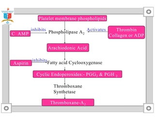 Platelet membrane phospholipids 
inhibits Activates 
Phospholipase A2 
Arachiodonic Acid 
Fatty acid Cyclooxygenase 
Cyclic Endoperoxides:- PGG2  PGH 2 
Thromboxane-A2 
C AMP 
Thrombin 
Collagen or ADP 
Aspirin 
Thromboxane 
Synthetase 
inhibits 
 