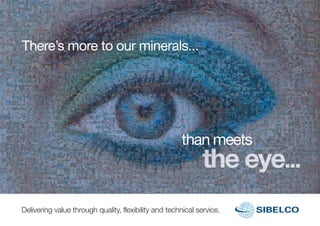 There’s more to our minerals...




                                                      than meets



Delivering value through quality, flexibility and technical service.
 