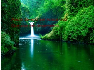 Assim deveria ser nossa vida
Que vive em desarmonia

 