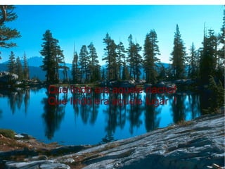 Que lindo era aquele riacho!
Que lindo era aquele lugar !

 